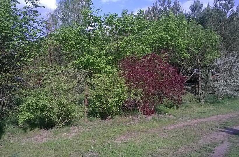 בית מלון כפרי Agroturystyka Ruta Nad Zalewem Siemianówka