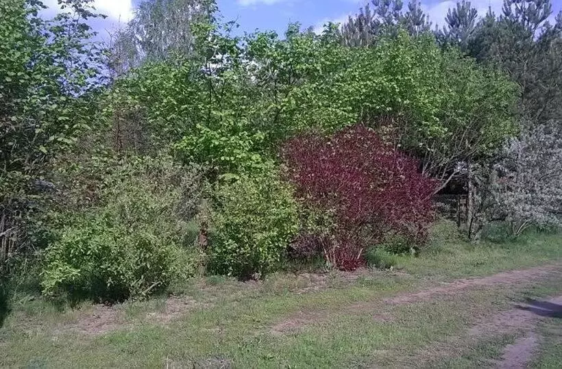 Hotelli Agroturystyka Ruta Nad Zalewem Siemianówka