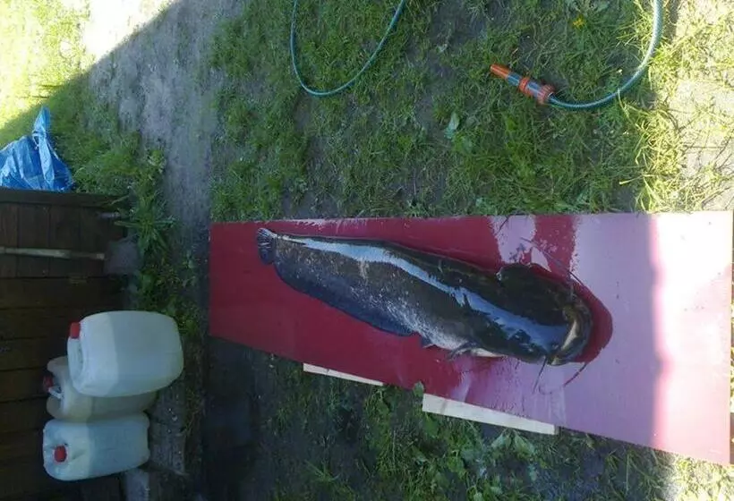 Hotelli Agroturystyka Ruta Nad Zalewem Siemianówka