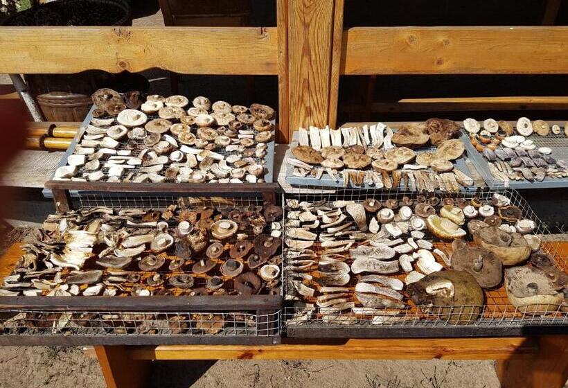 בית מלון כפרי Agroturystyka Ruta Nad Zalewem Siemianówka