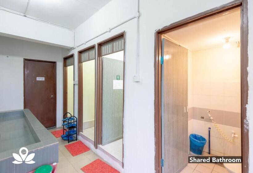 酒店 Island Backpackers