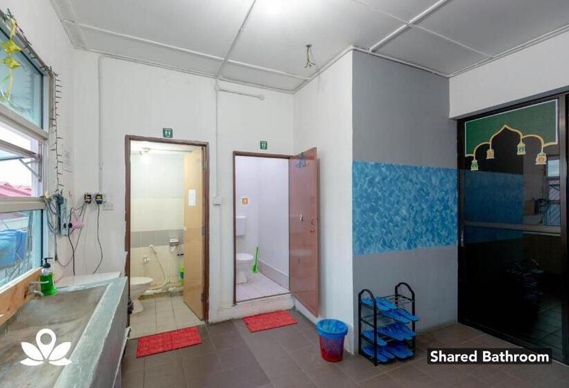 酒店 Island Backpackers