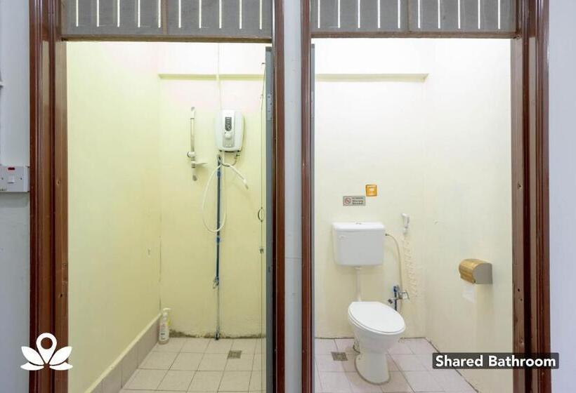 酒店 Island Backpackers