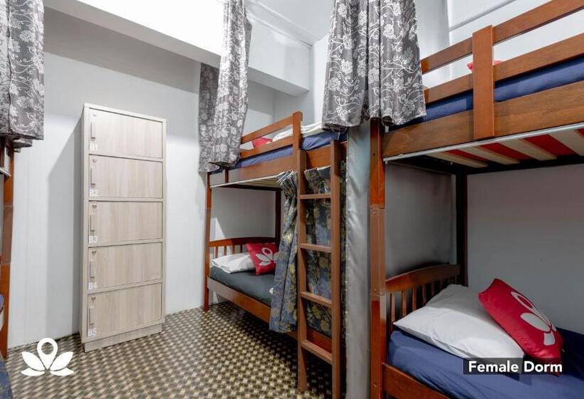 酒店 Island Backpackers