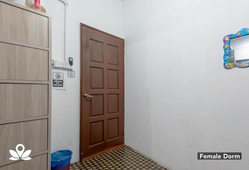 酒店 Island Backpackers