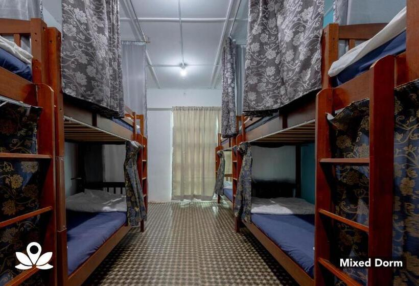 酒店 Island Backpackers