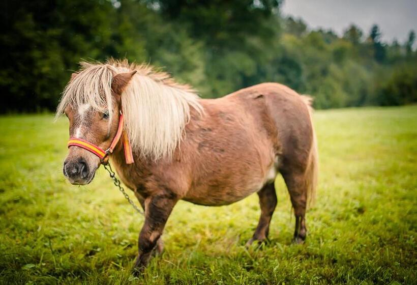 酒店 Agroturystyka Natura