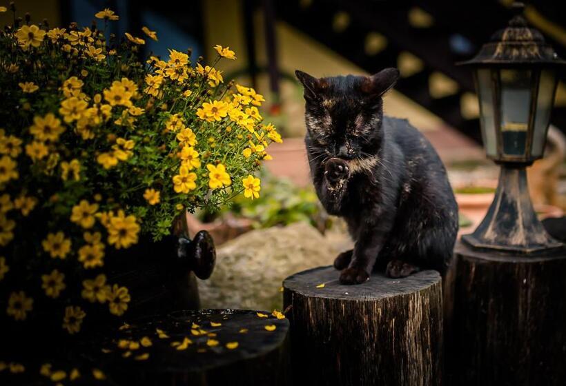 酒店 Agroturystyka Natura