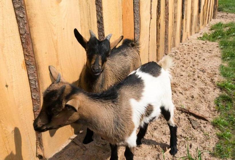 酒店 Agroturystyka Natura