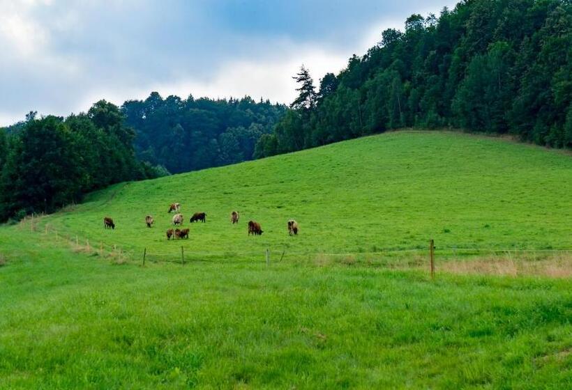 酒店 Agroturystyka Natura