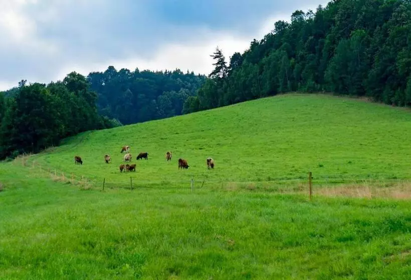 ホテル Agroturystyka Natura