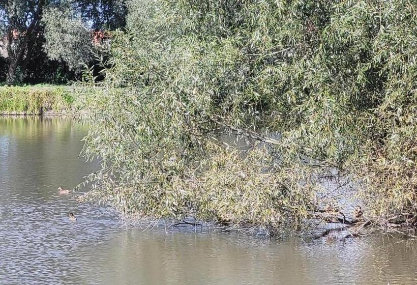 בית מלון כפרי Delmajk