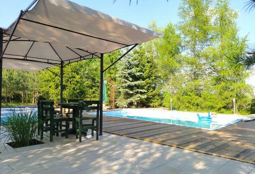 酒店 Dom Z Basenem Nad Narwia