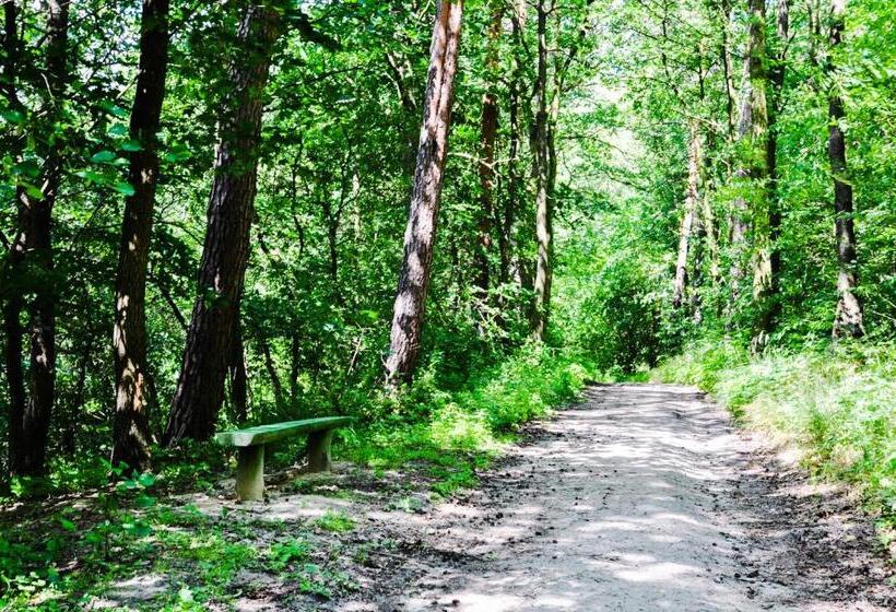 호텔 Modrzewiowe Wzgorze