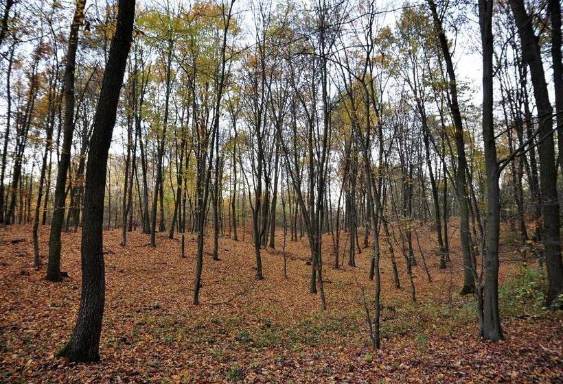 호텔 Modrzewiowe Wzgorze