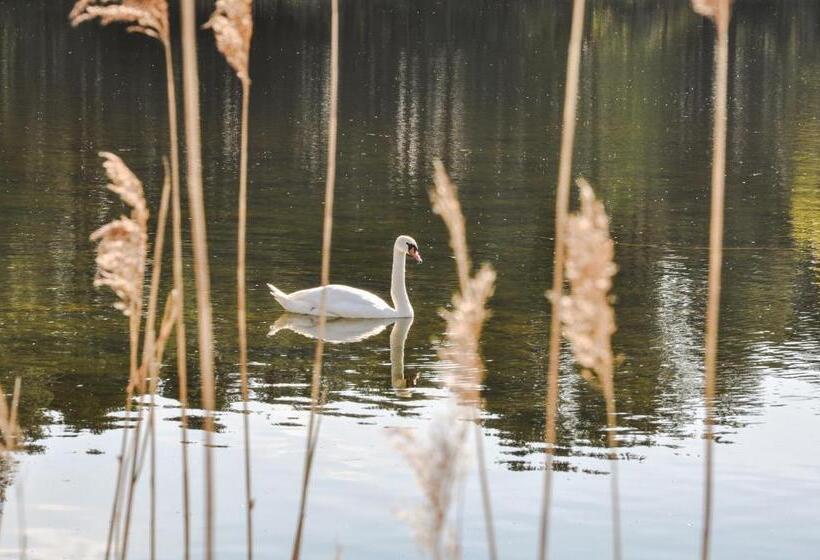 호텔 Modrzewiowe Wzgorze