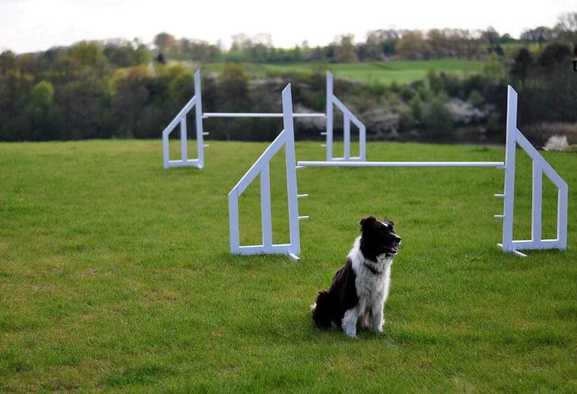 호텔 Modrzewiowe Wzgorze