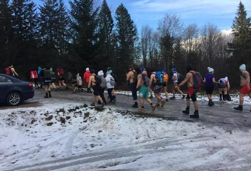 Majatalo Chybotek Premium