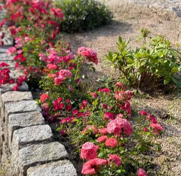 Majatalo Chybotek Premium