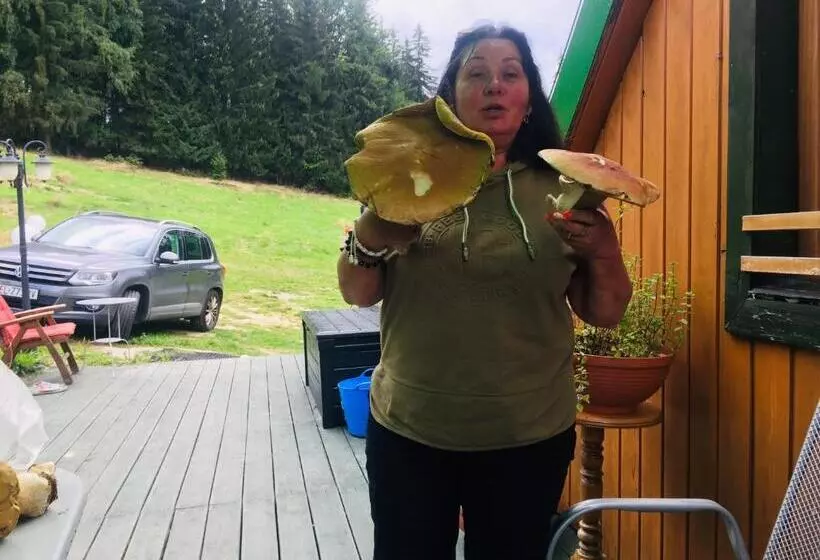 Majatalo Chybotek Premium