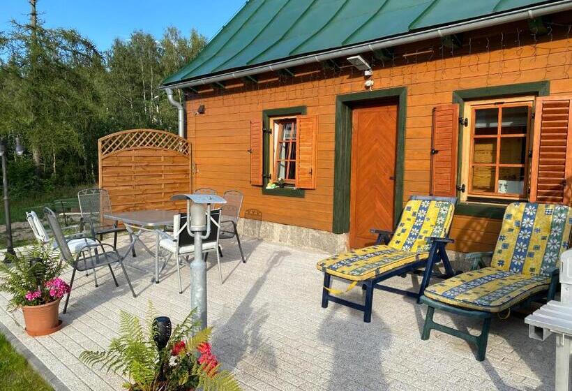 ペンション Chybotek Premium