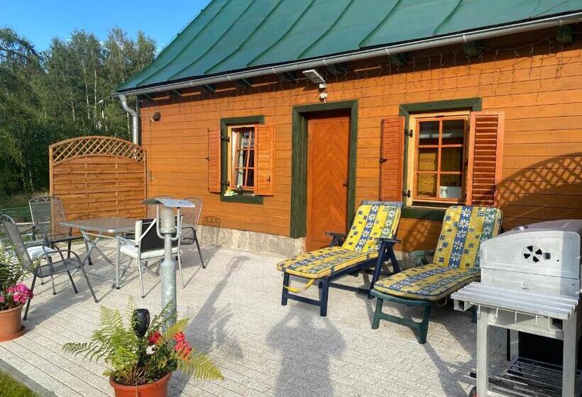 ペンション Chybotek Premium