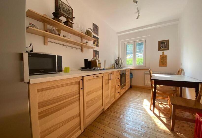 ペンション Chybotek Premium