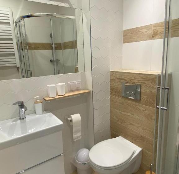 ペンション Chybotek Premium