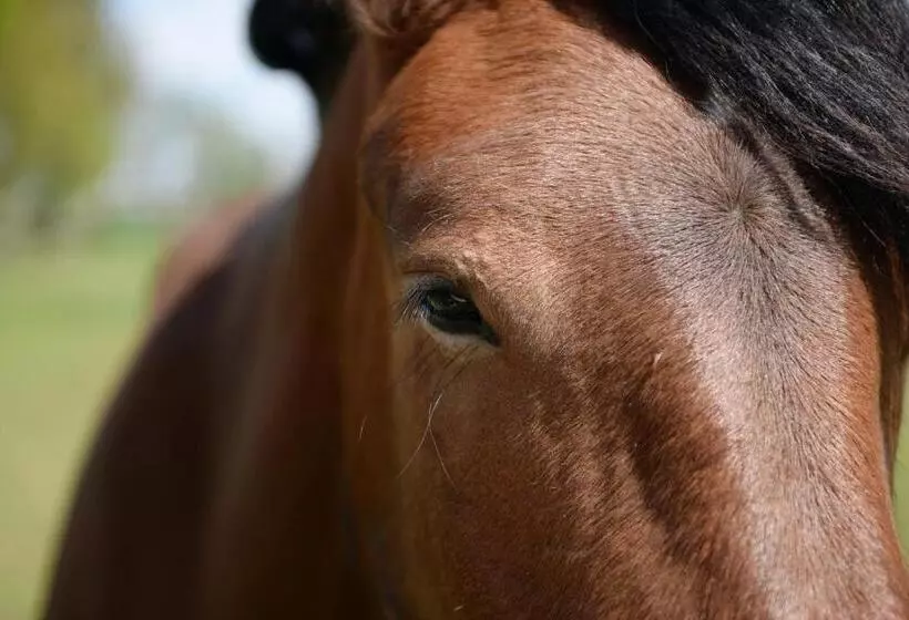 Retkeilymaja Ranczo W Dolinie