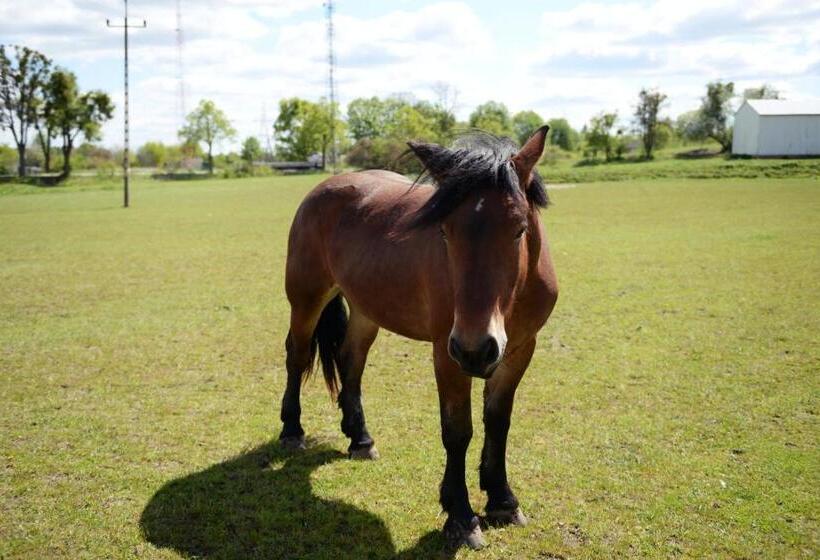 הוסטל Ranczo W Dolinie