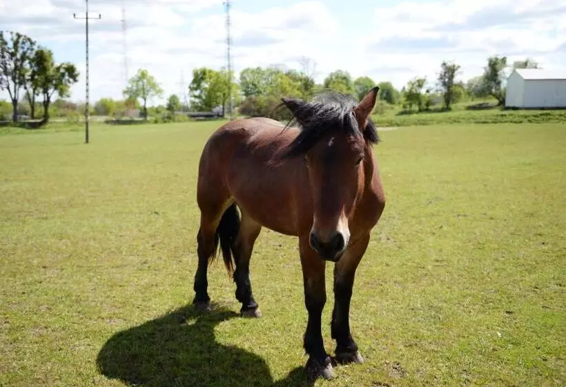 Retkeilymaja Ranczo W Dolinie