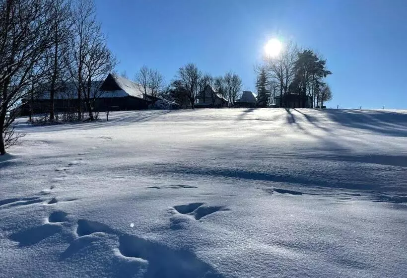 Aamiaismajoitus (B&B) Tarasówka U Zająca