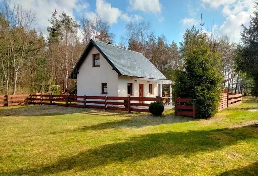 Hotelli Agroturystyka Pod Klonem