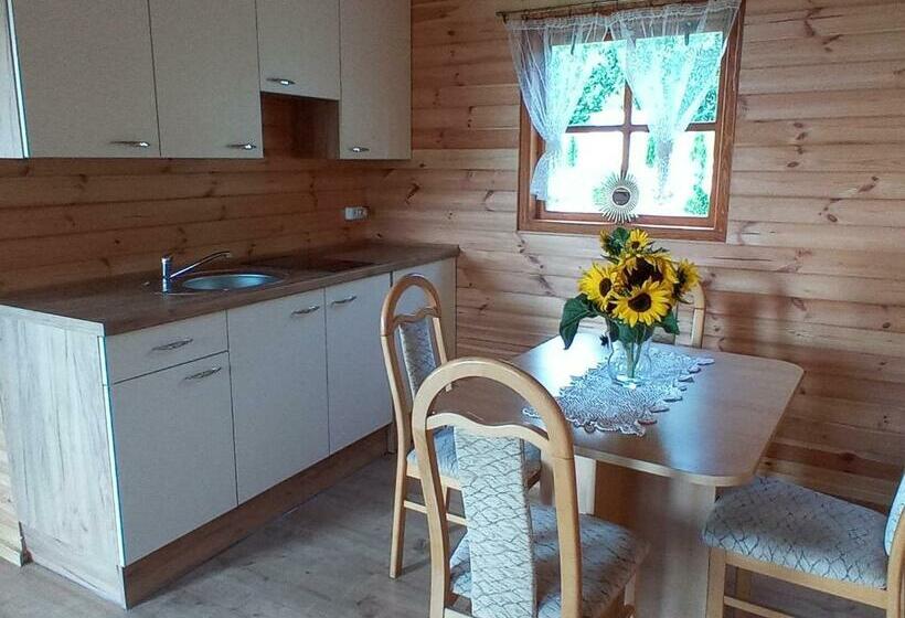 호텔 Agroturystyka Sosenka