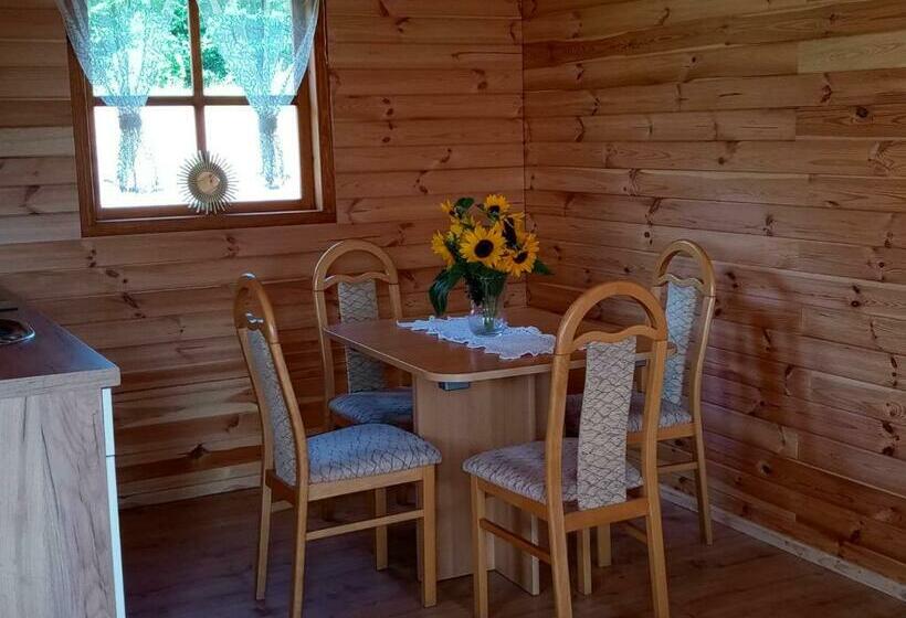 호텔 Agroturystyka Sosenka