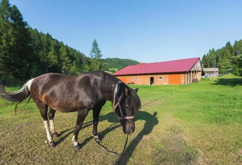 ホテル Agroturystyka U Chlebków