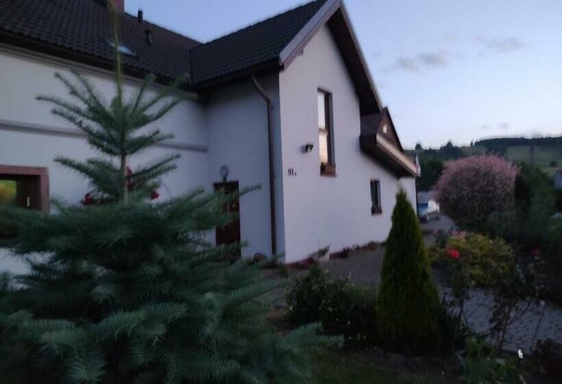 酒店 Agroturystyka U Kasi