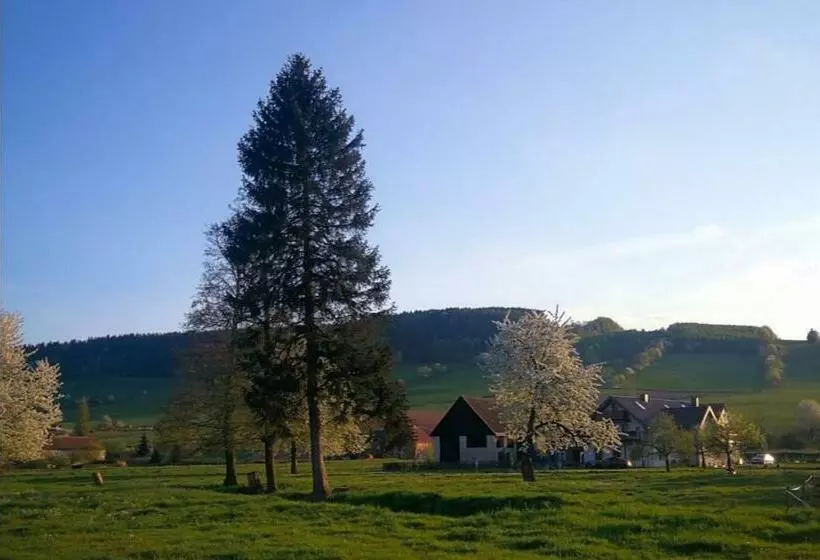 ホテル Agroturystyka U Kasi