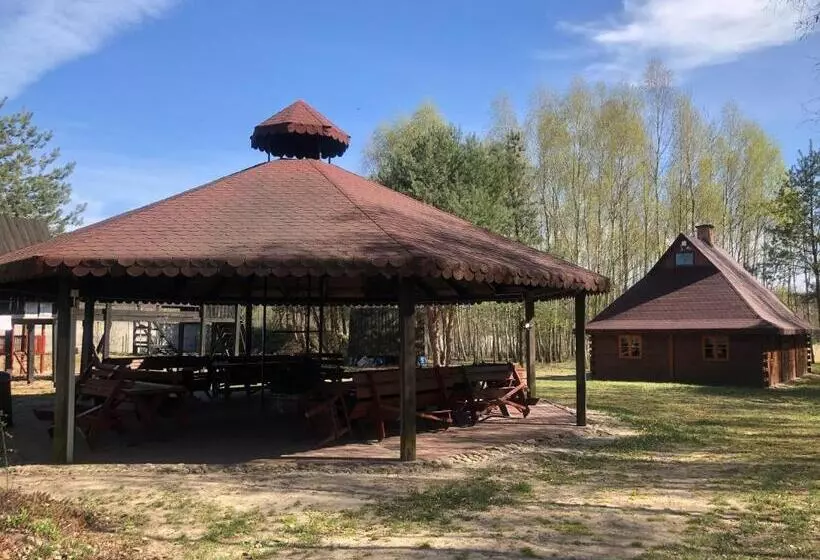 ホテル Dolina Bobrów