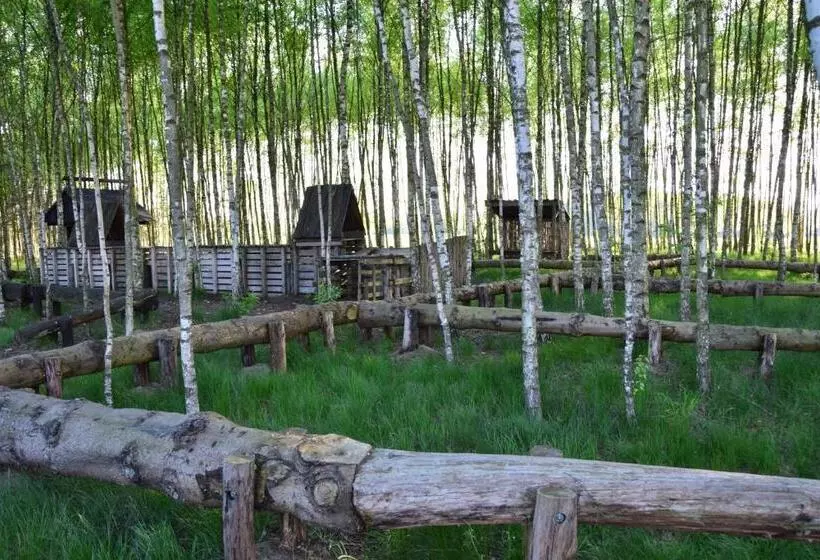 ホテル Dolina Bobrów