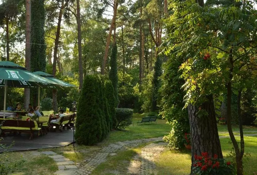 ホテル Leśny Dworek