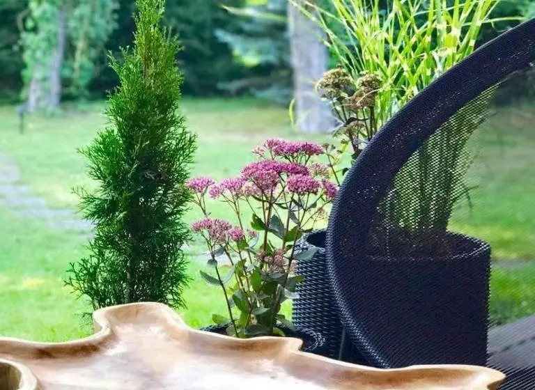 ホテル Leśny Dworek