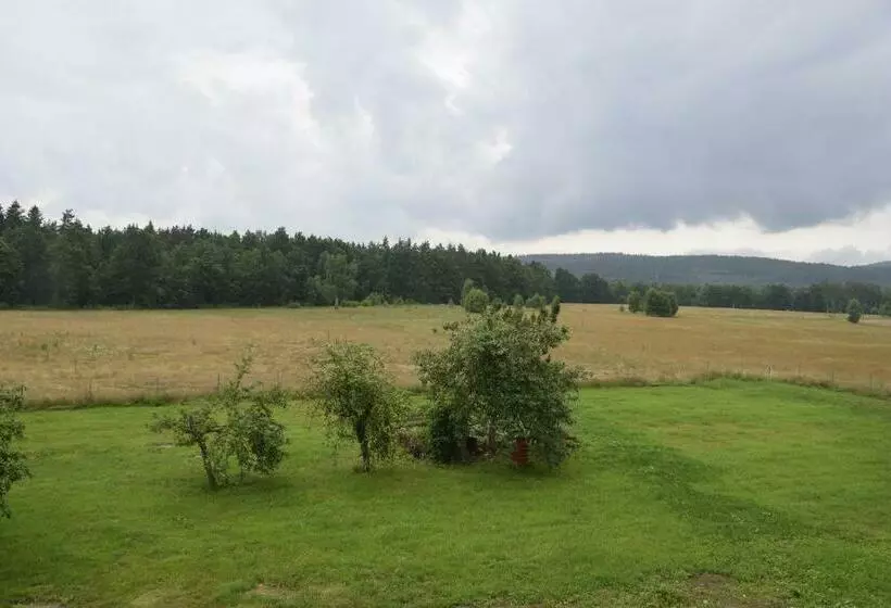 Hotelli Nowa Kamienica 11