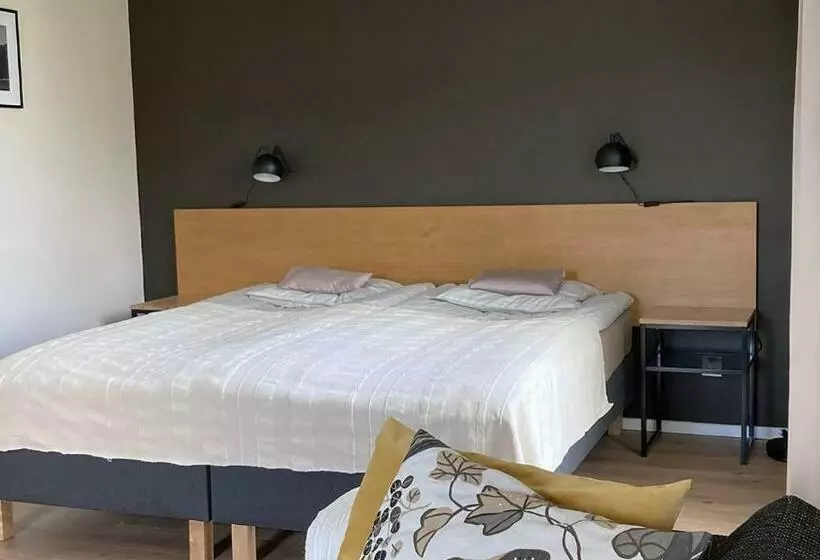 Hotelli Nowa Kamienica 11