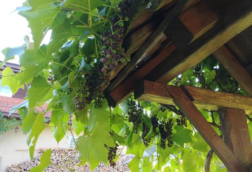 فندق Winnica Spisz