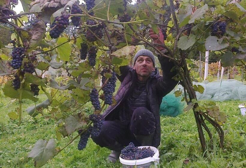 فندق Winnica Spisz