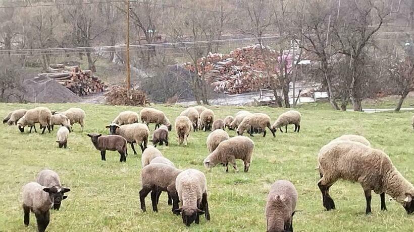 פנסיון K85 Komańcza Baza Noclegowa Wypadowa Bieszczady Beskid Niski