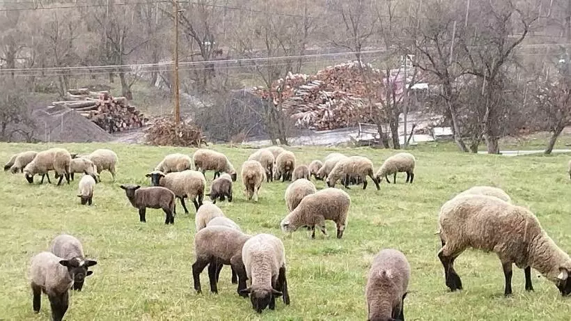 ペンション K85 Komańcza Baza Noclegowa Wypadowa Bieszczady Beskid Niski