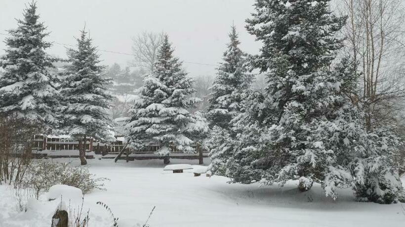 פנסיון K85 Komańcza Baza Noclegowa Wypadowa Bieszczady Beskid Niski