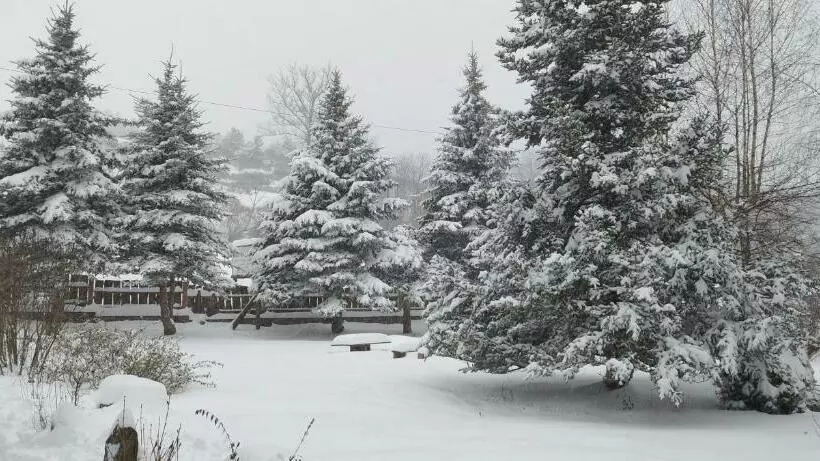 ペンション K85 Komańcza Baza Noclegowa Wypadowa Bieszczady Beskid Niski